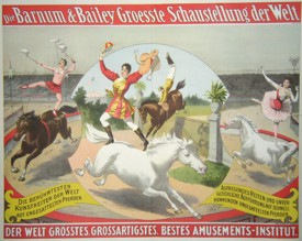 th-cir-rb-horse-acro