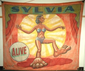 th-sylvia
