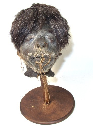 white-beard-head